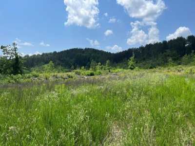 Residential Land For Sale in Decatur, Tennessee