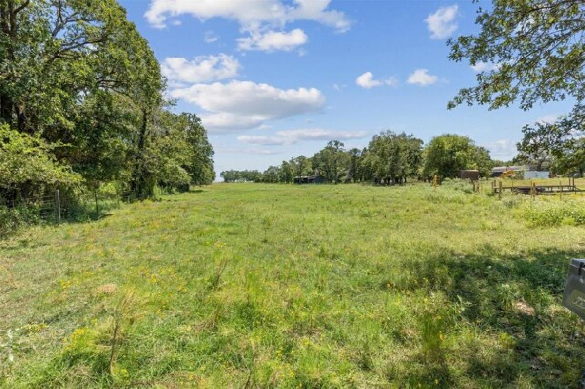 Picture of Residential Land For Sale in Covington, Texas, United States