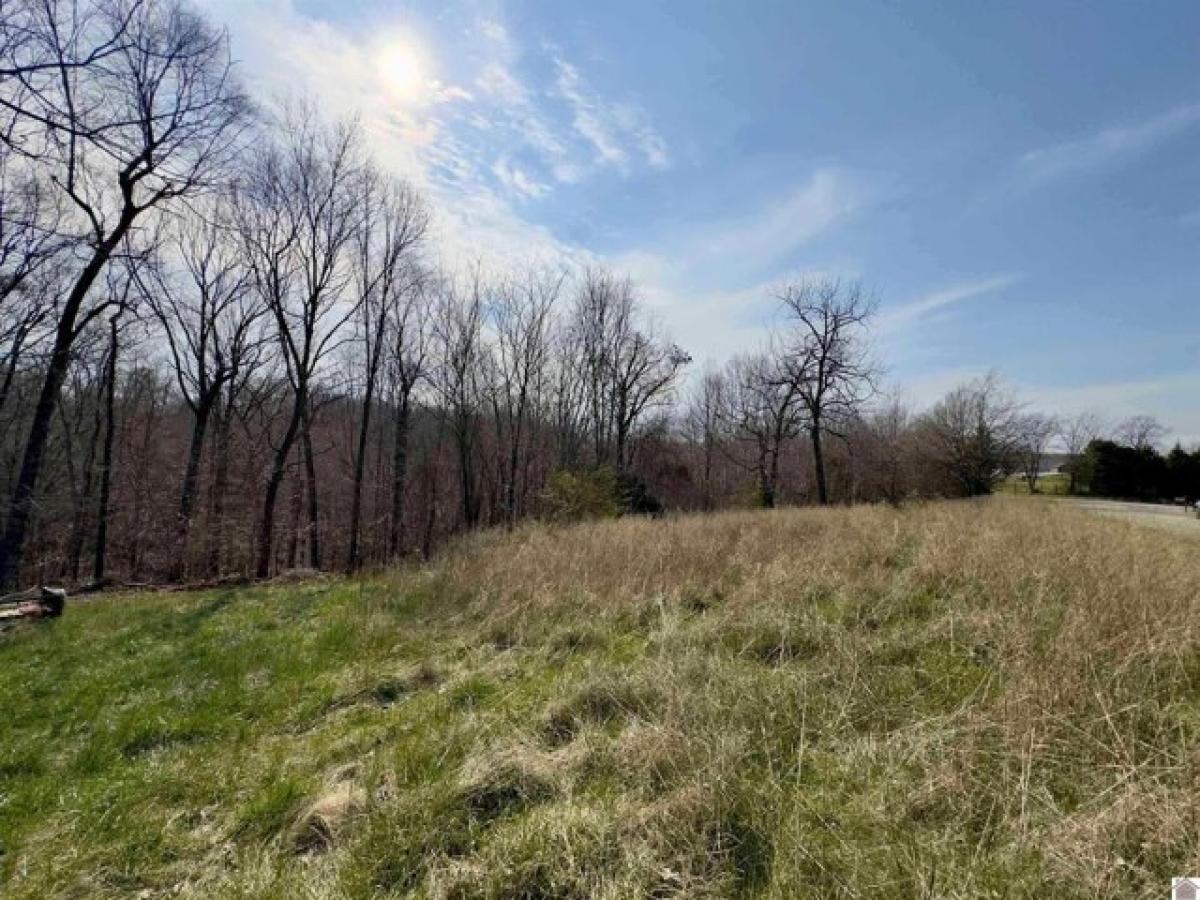 Picture of Residential Land For Sale in Cadiz, Kentucky, United States