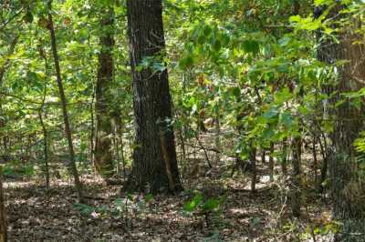 Residential Land For Sale in Ironton, Missouri