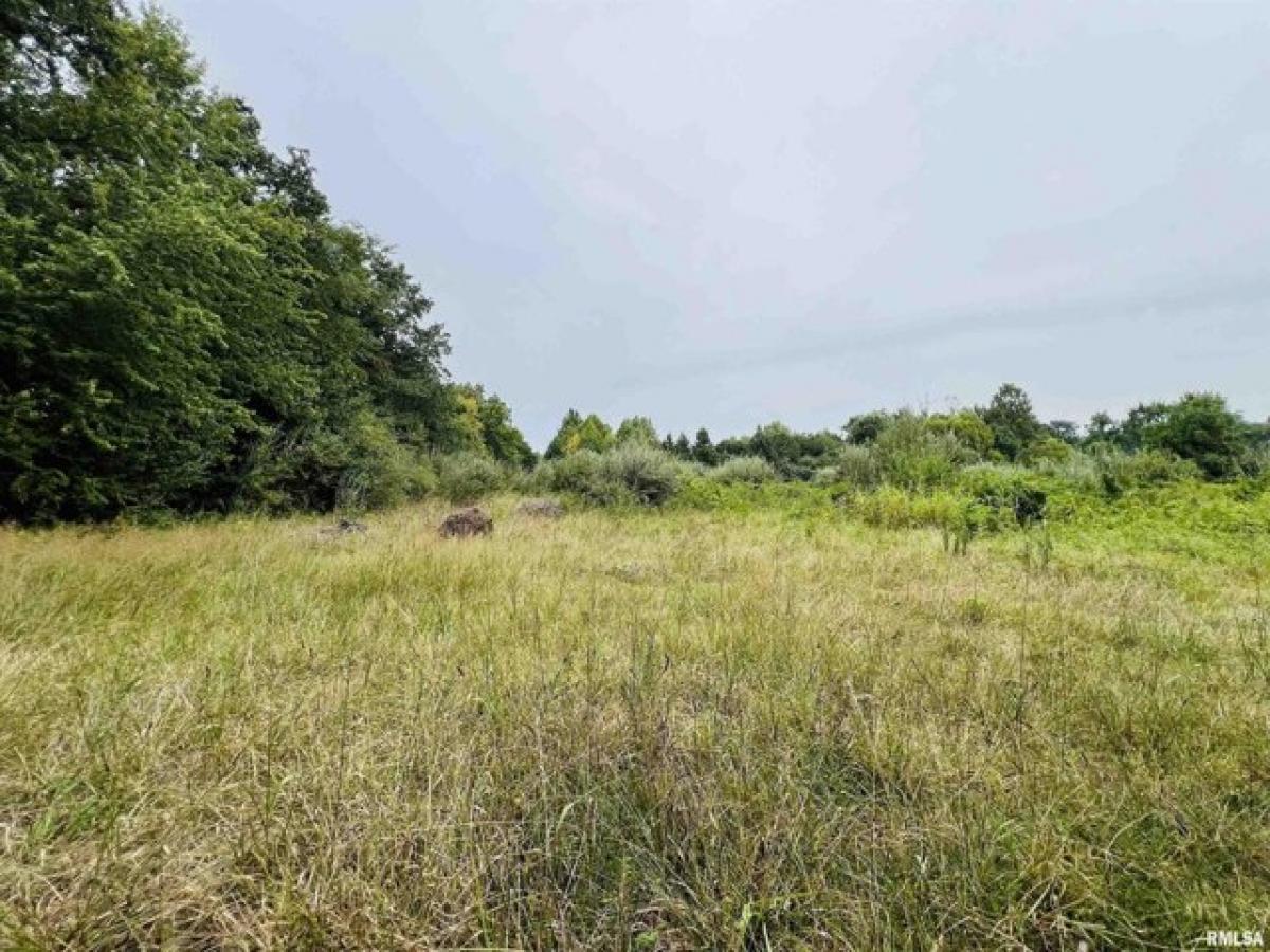 Picture of Residential Land For Sale in West Frankfort, Illinois, United States