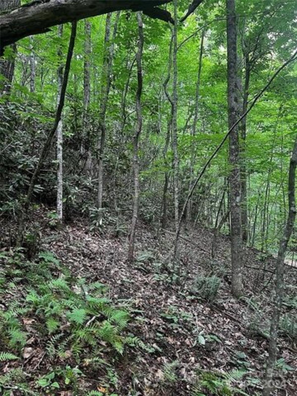 Picture of Residential Land For Sale in Old Fort, North Carolina, United States