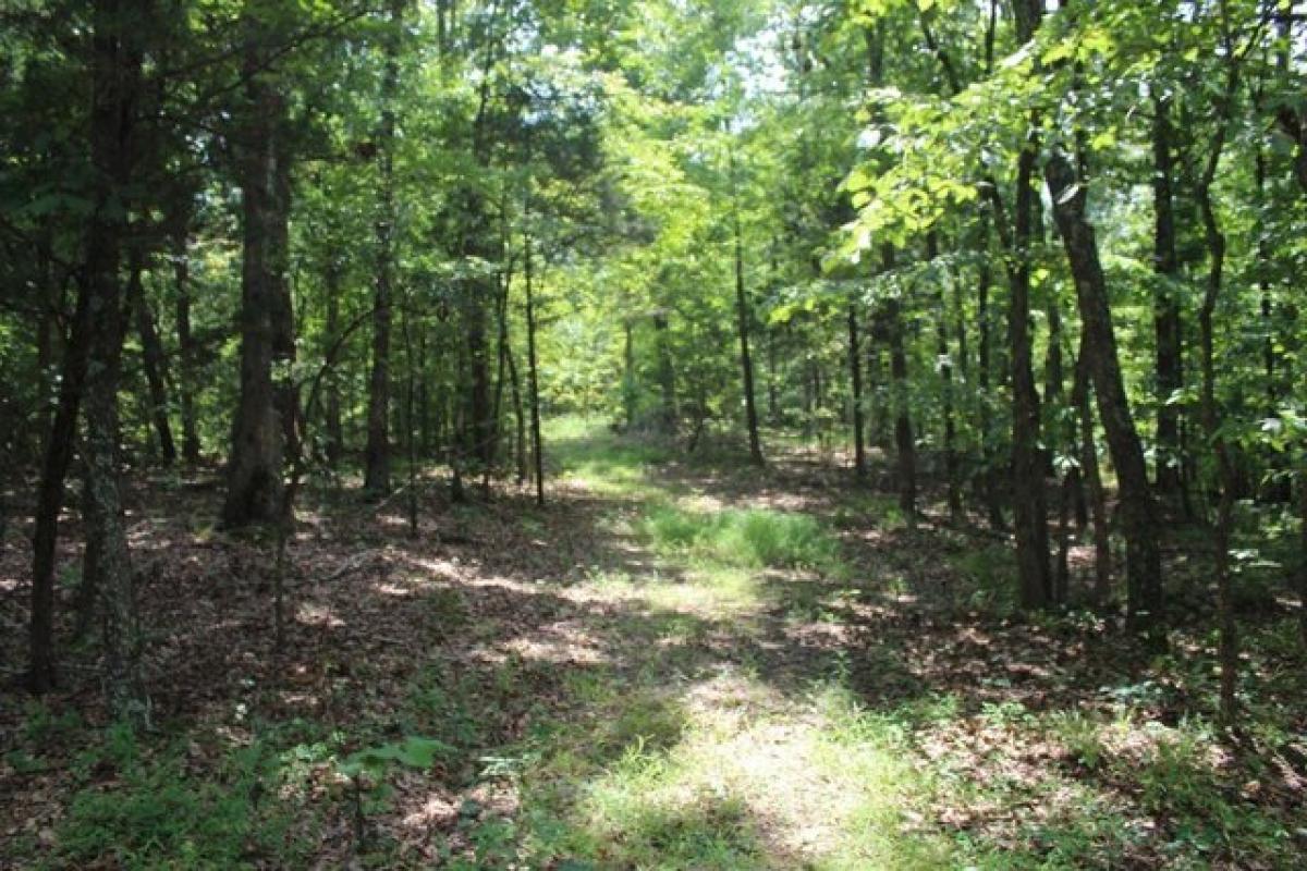 Picture of Residential Land For Sale in Cedar Grove, Tennessee, United States