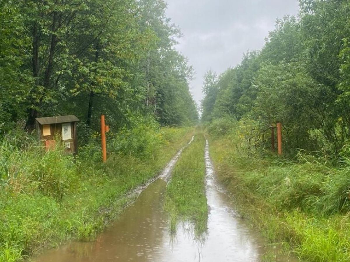 Picture of Residential Land For Sale in Hawkins, Wisconsin, United States