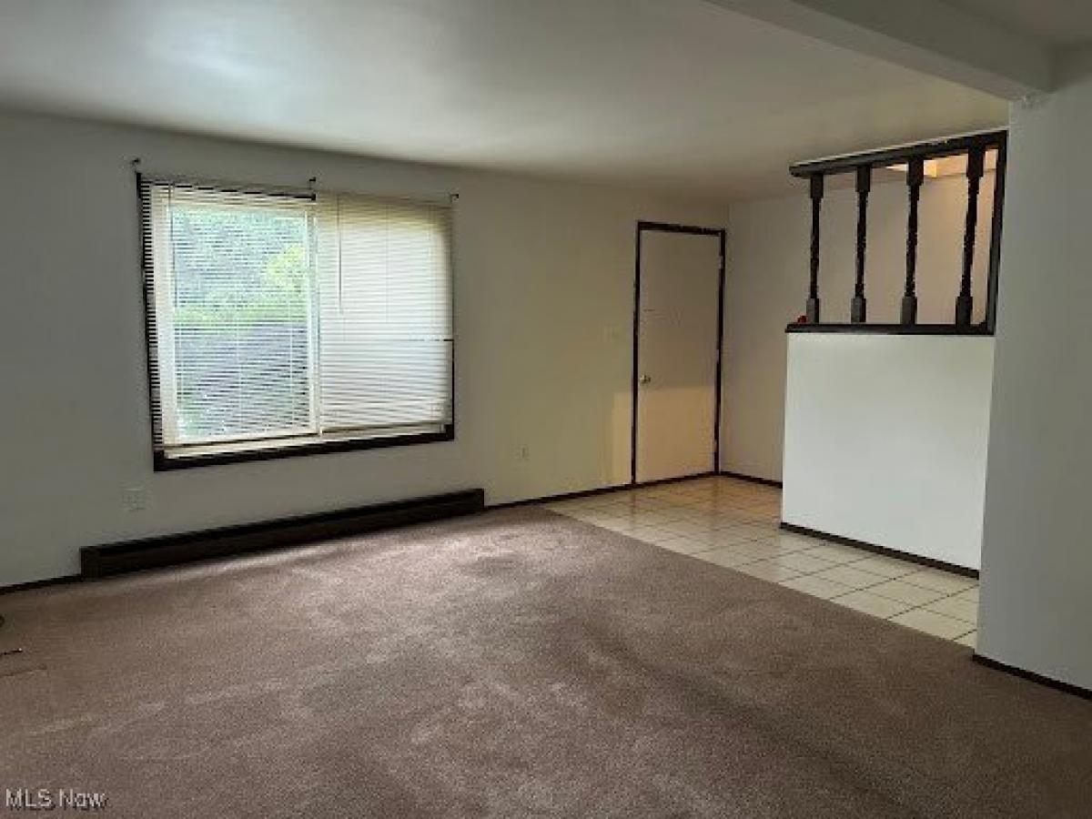 Picture of Apartment For Rent in Wintersville, Ohio, United States