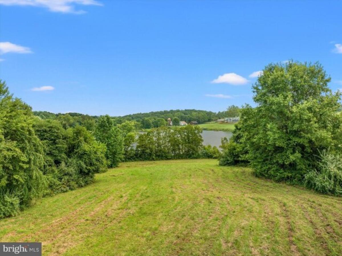 Picture of Residential Land For Sale in Marshall, Virginia, United States