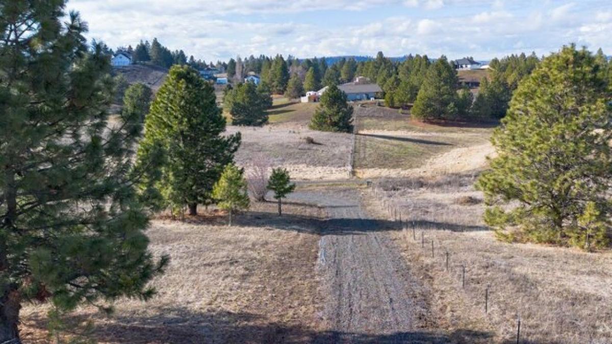 Picture of Residential Land For Sale in Cheney, Washington, United States