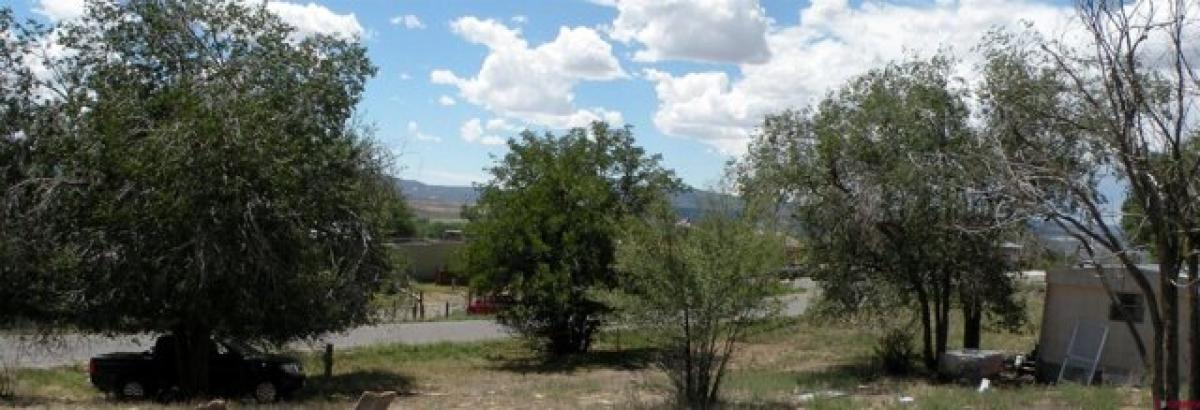 Picture of Home For Sale in Nucla, Colorado, United States