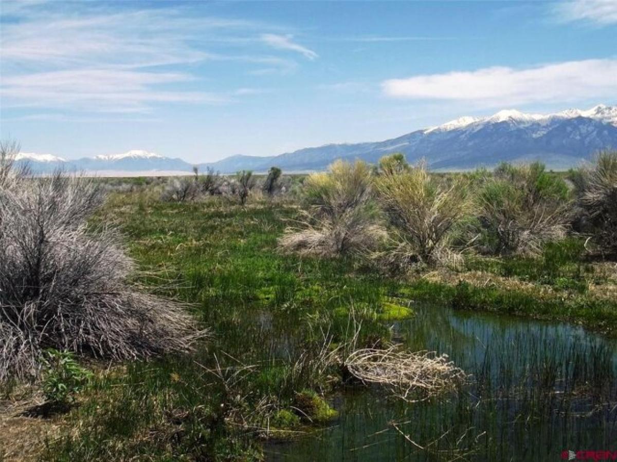 Picture of Residential Land For Sale in Alamosa, Colorado, United States