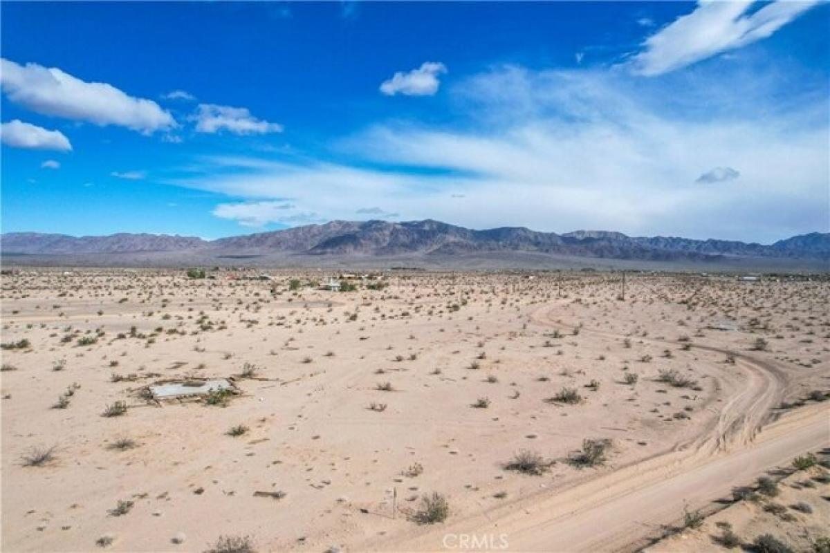 Picture of Residential Land For Sale in Twentynine Palms, California, United States