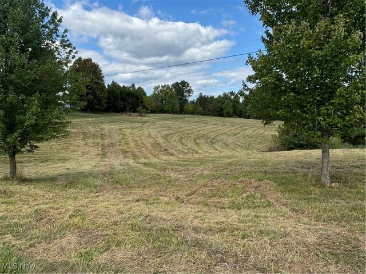 Picture of Residential Land For Sale in New Concord, Ohio, United States