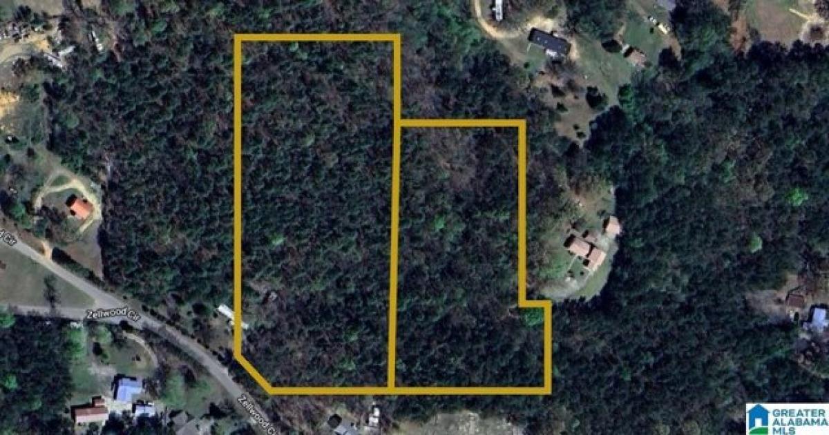 Picture of Residential Land For Sale in Talladega, Alabama, United States