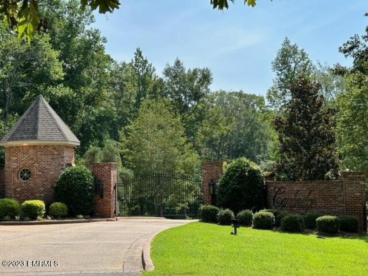 Picture of Residential Land For Sale in Bailey, Mississippi, United States