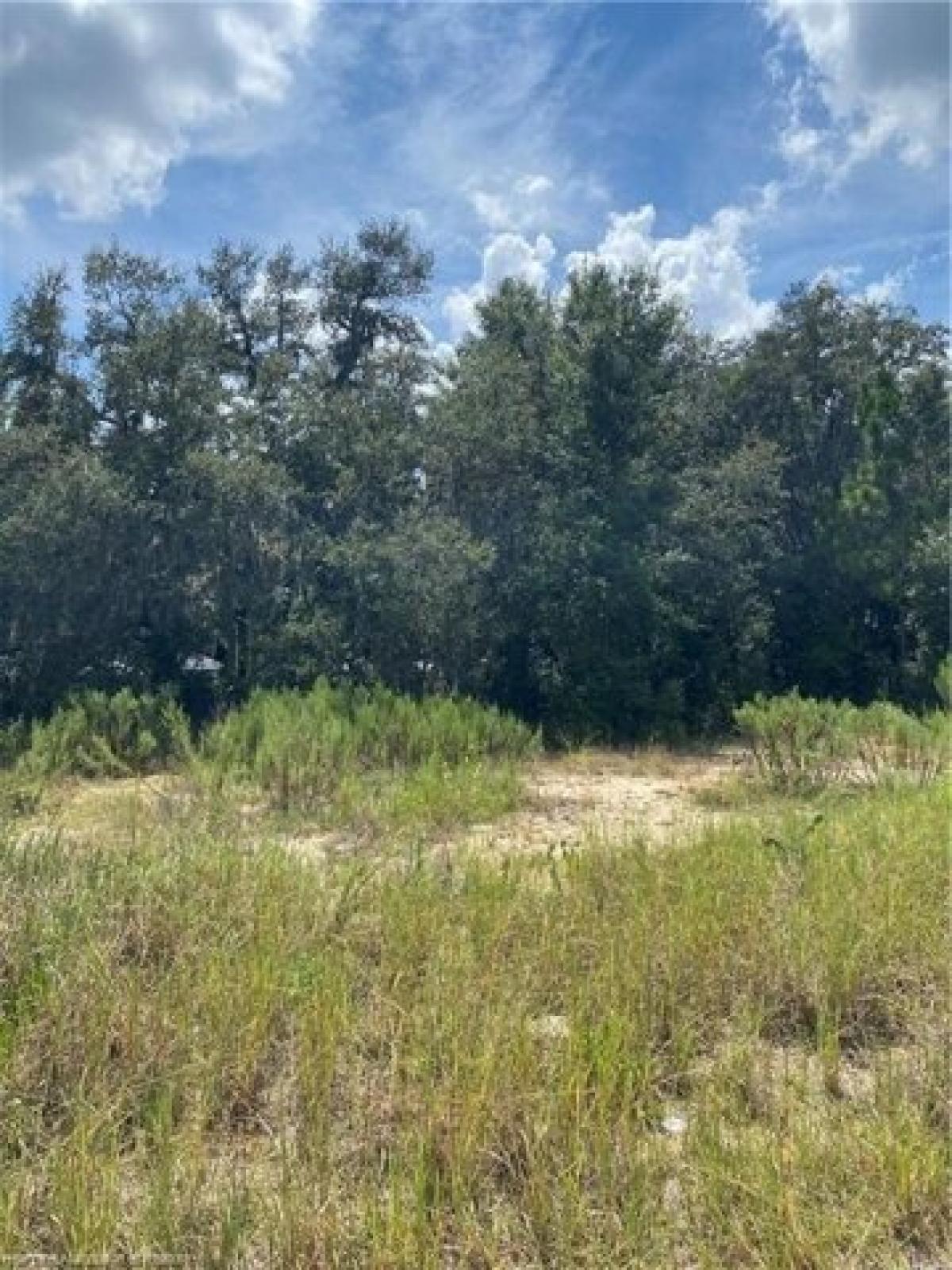 Picture of Residential Land For Sale in Avon Park, Florida, United States