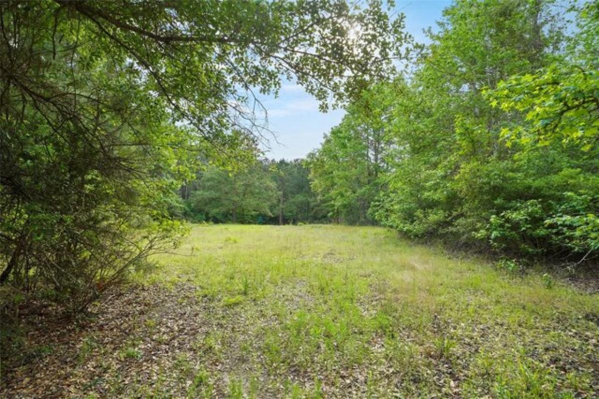 Picture of Residential Land For Sale in Oakhurst, Texas, United States