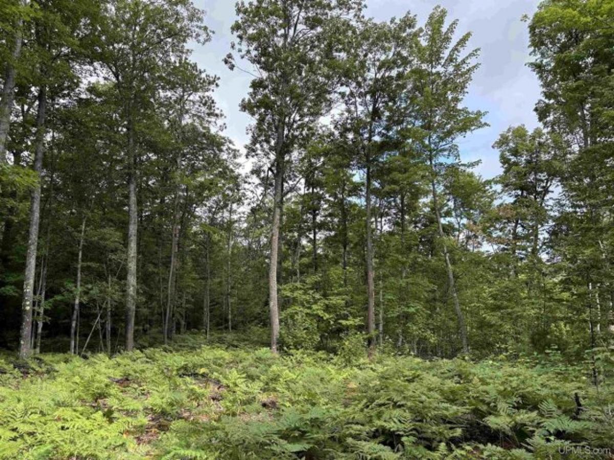 Picture of Residential Land For Sale in Negaunee, Michigan, United States