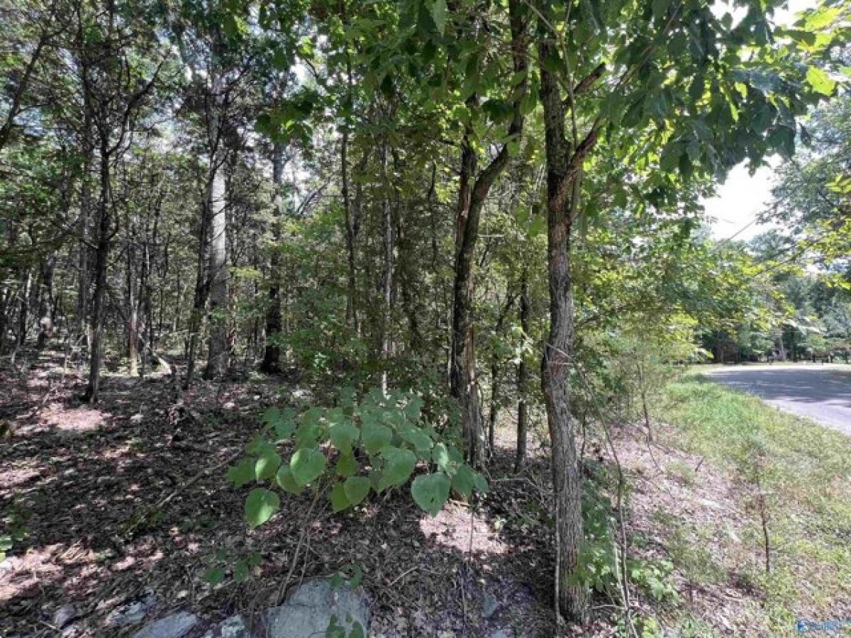 Picture of Residential Land For Sale in Laceys Spring, Alabama, United States