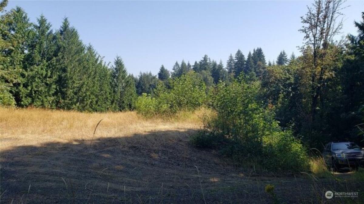 Picture of Residential Land For Sale in Centralia, Washington, United States