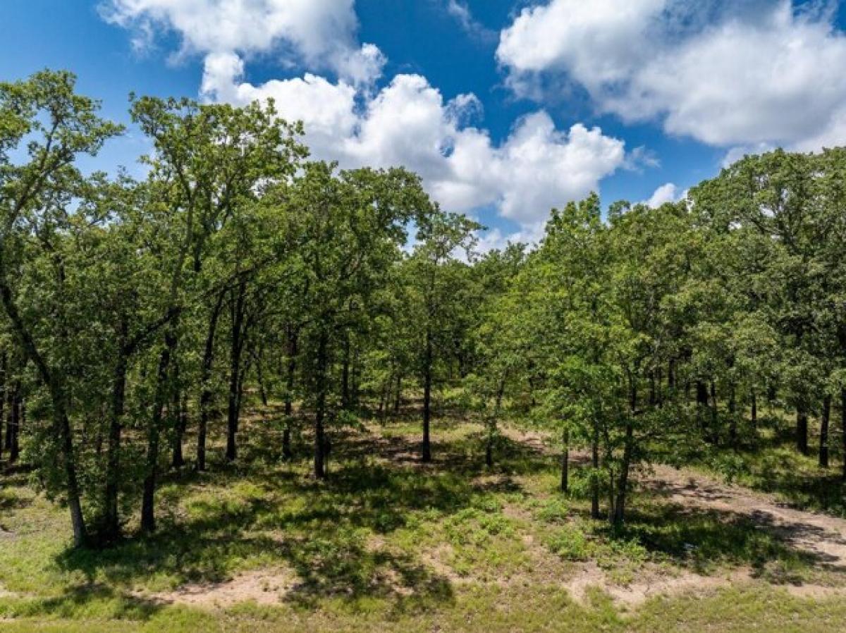 Picture of Residential Land For Sale in Quinlan, Texas, United States