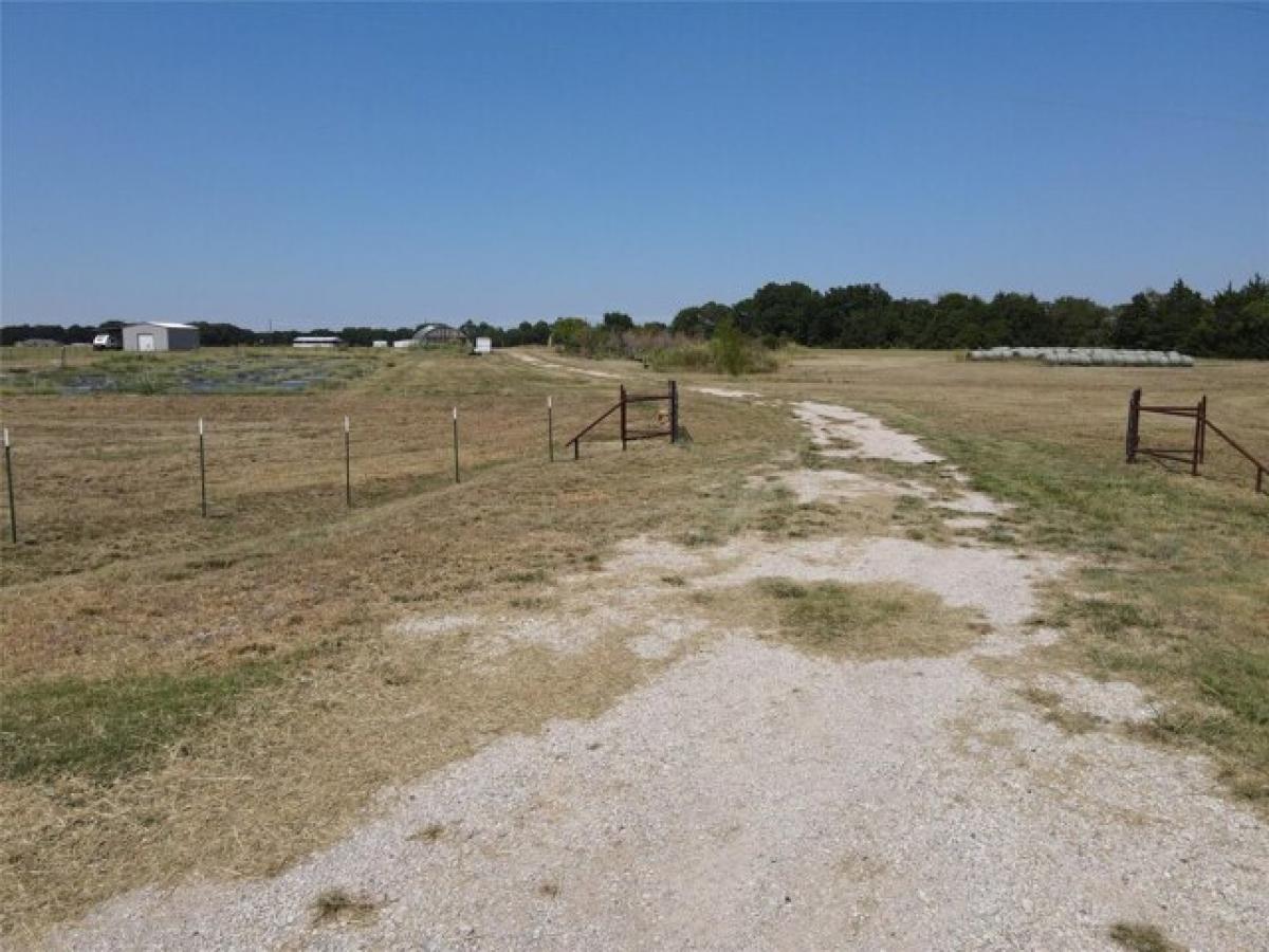 Picture of Residential Land For Sale in Savoy, Texas, United States