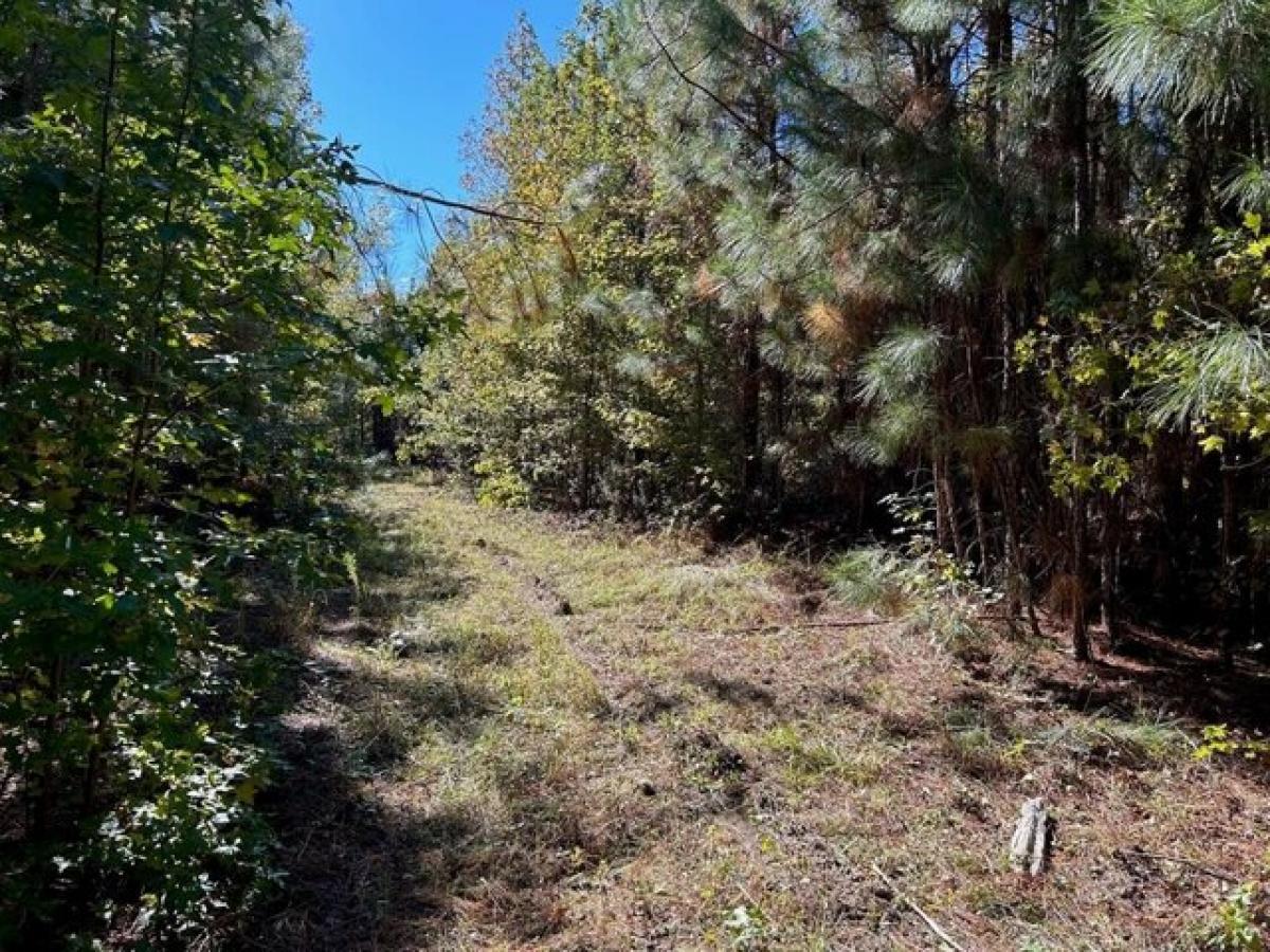 Picture of Residential Land For Sale in Rockledge, Georgia, United States