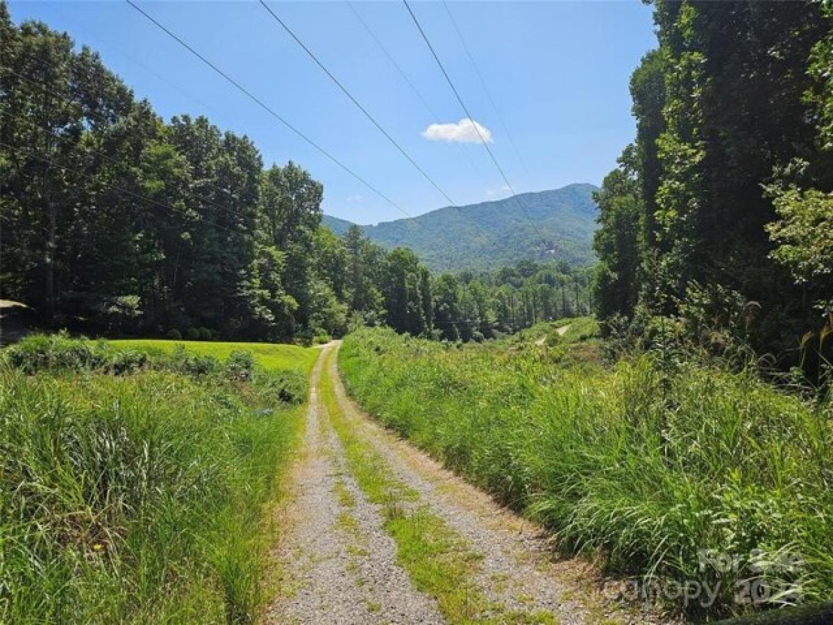 Picture of Residential Land For Sale in Black Mountain, North Carolina, United States