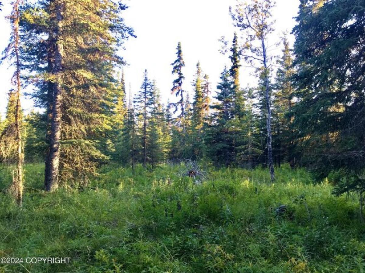 Picture of Residential Land For Sale in Kasilof, Alaska, United States