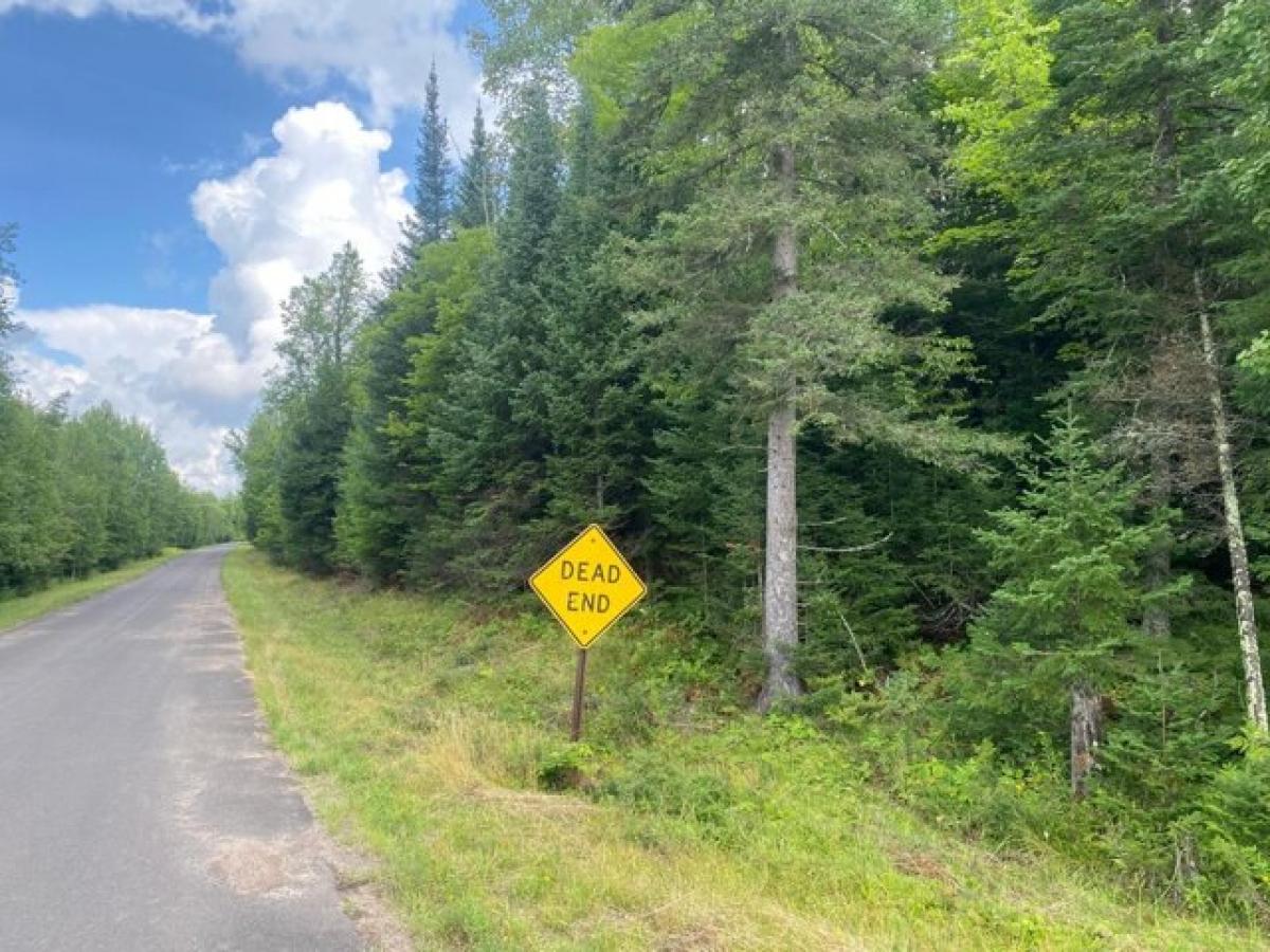 Picture of Residential Land For Sale in Park Falls, Wisconsin, United States