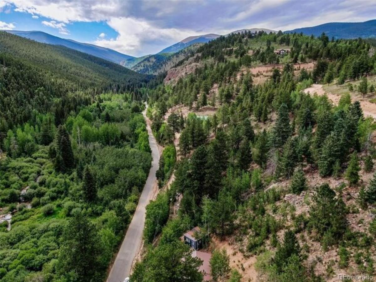 Picture of Residential Land For Sale in Bailey, Colorado, United States