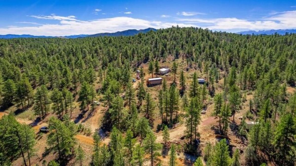 Picture of Home For Sale in Cotopaxi, Colorado, United States