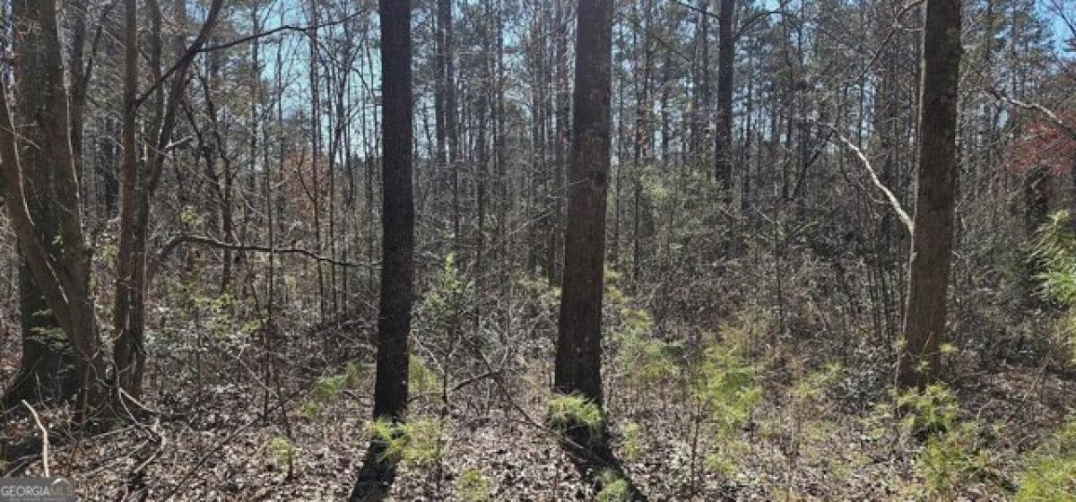 Picture of Residential Land For Rent in Martin, Georgia, United States