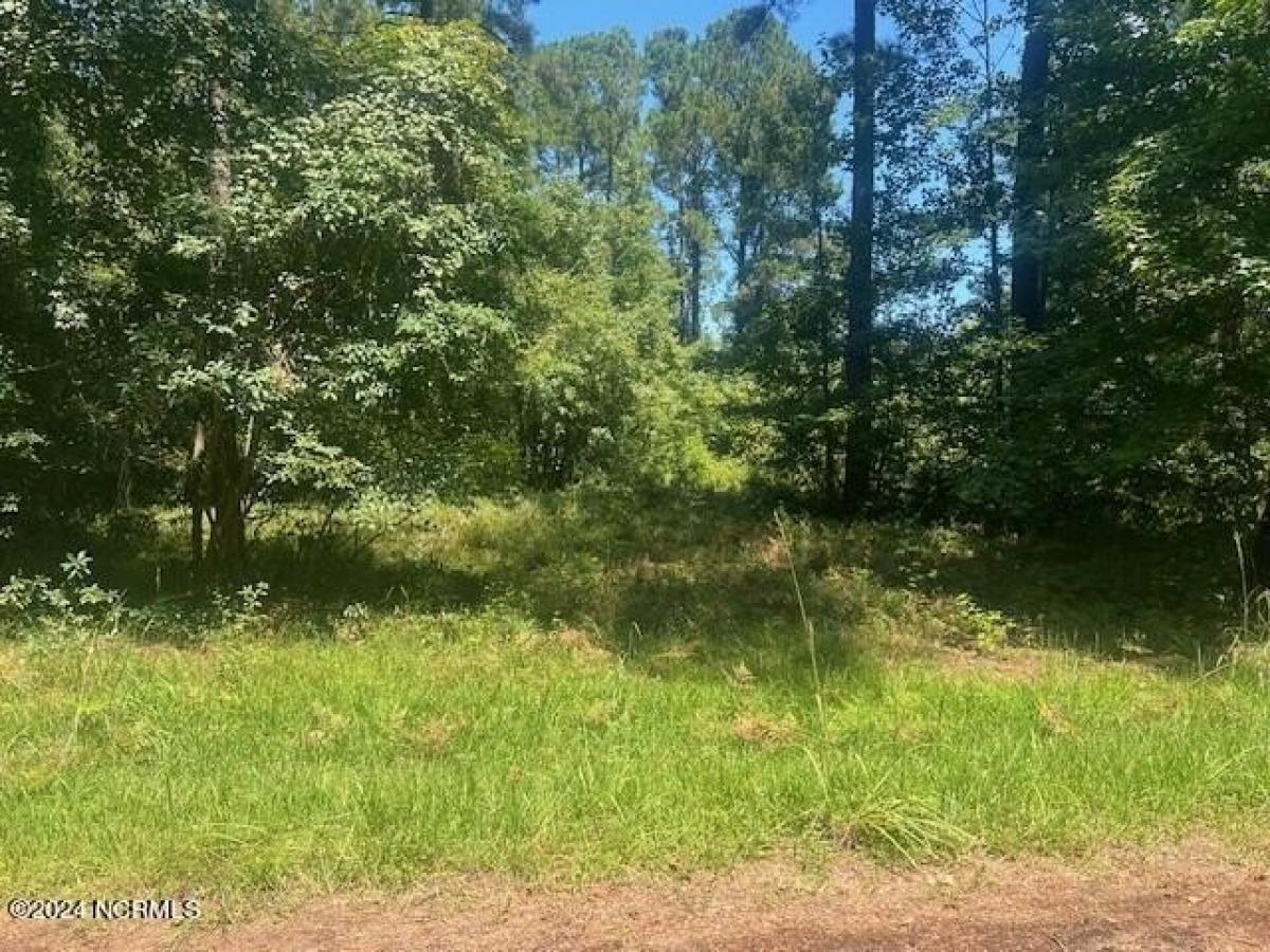 Picture of Residential Land For Sale in Whiteville, North Carolina, United States