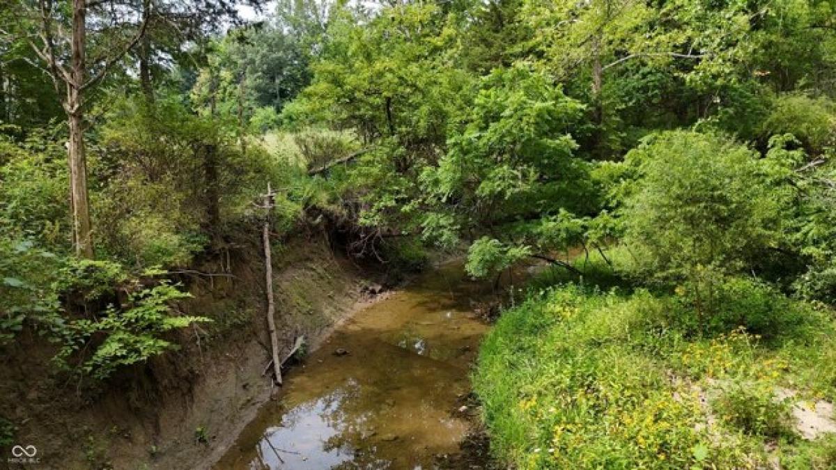 Picture of Residential Land For Sale in Coatesville, Indiana, United States