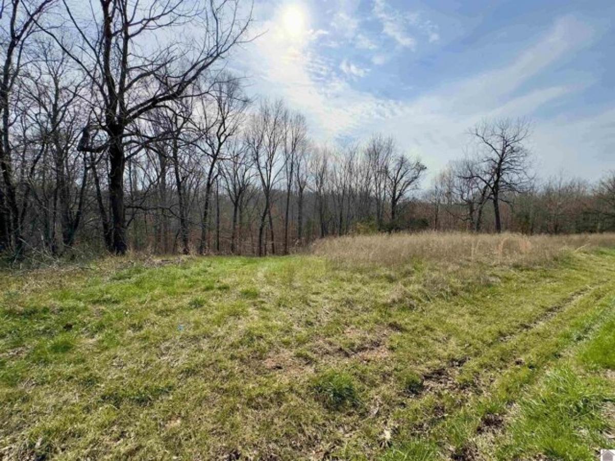 Picture of Residential Land For Sale in Cadiz, Kentucky, United States