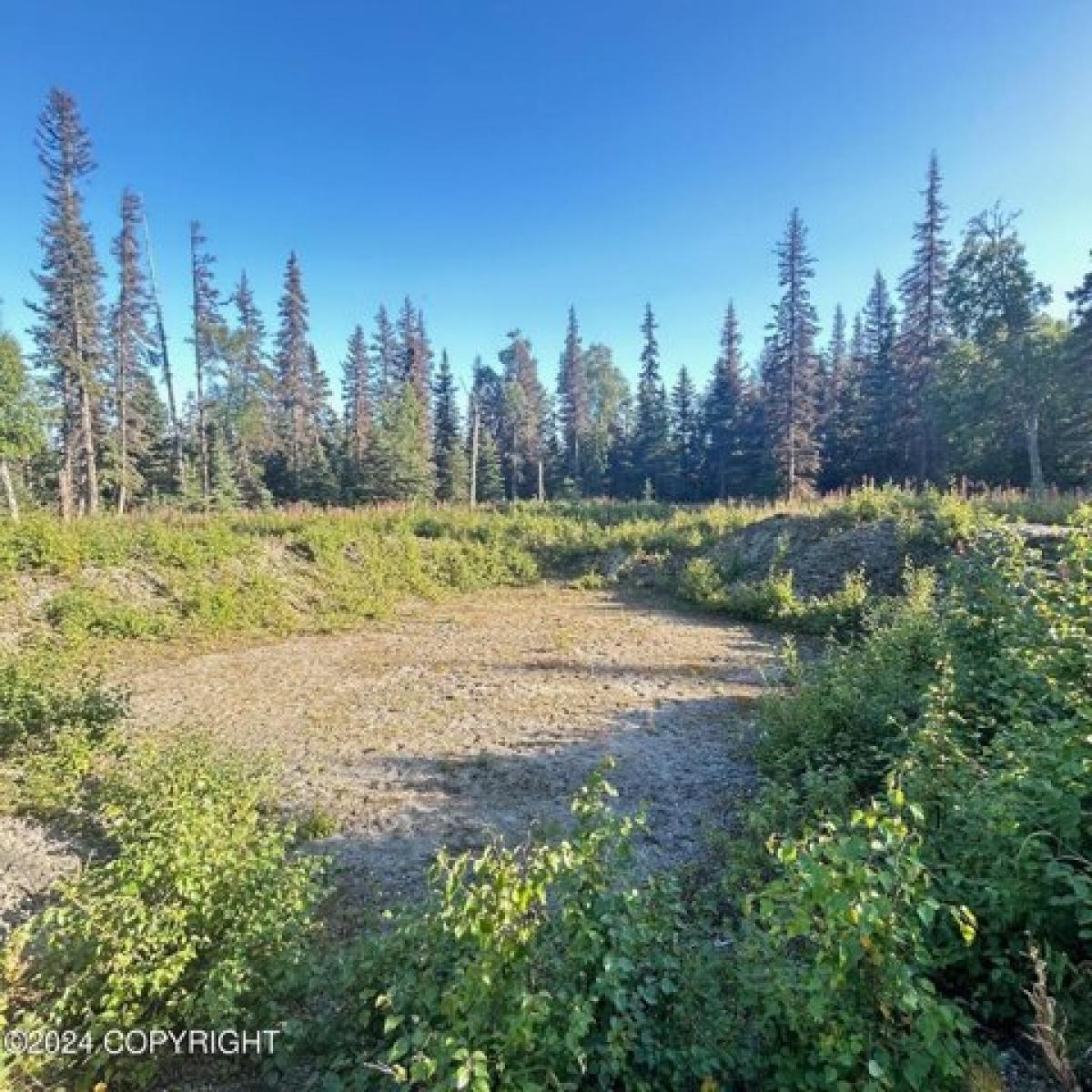 Picture of Residential Land For Sale in Kenai, Alaska, United States