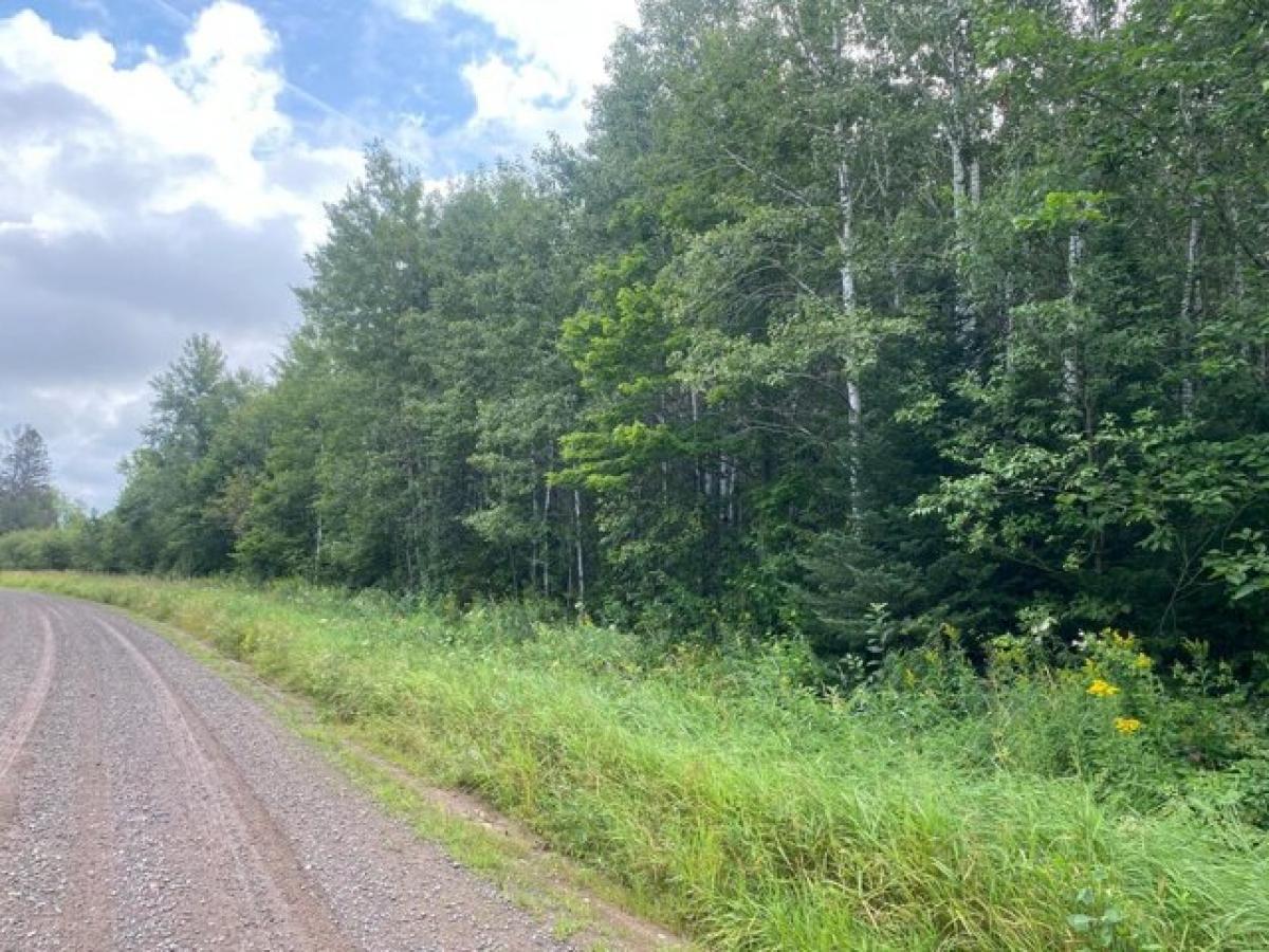 Picture of Residential Land For Sale in Butternut, Wisconsin, United States