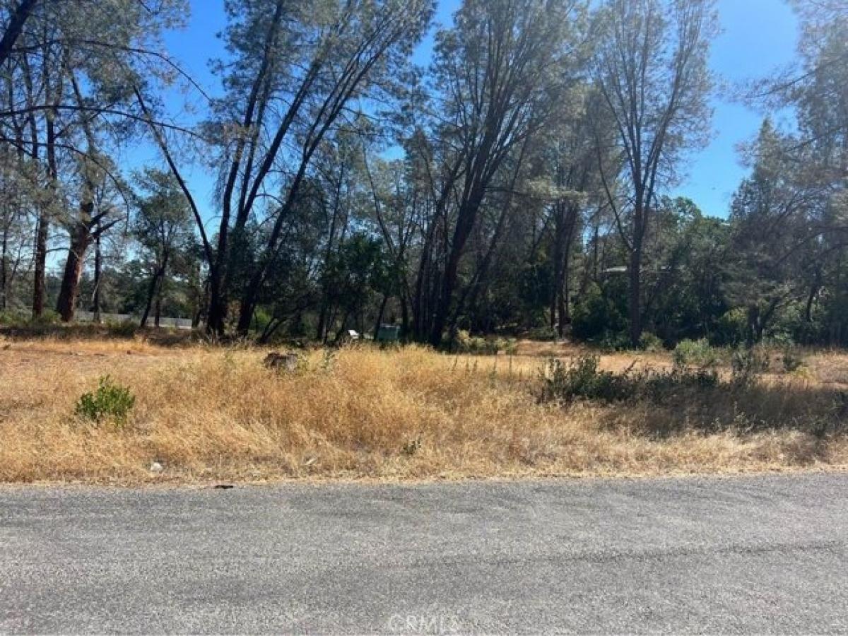 Picture of Residential Land For Sale in Corning, California, United States