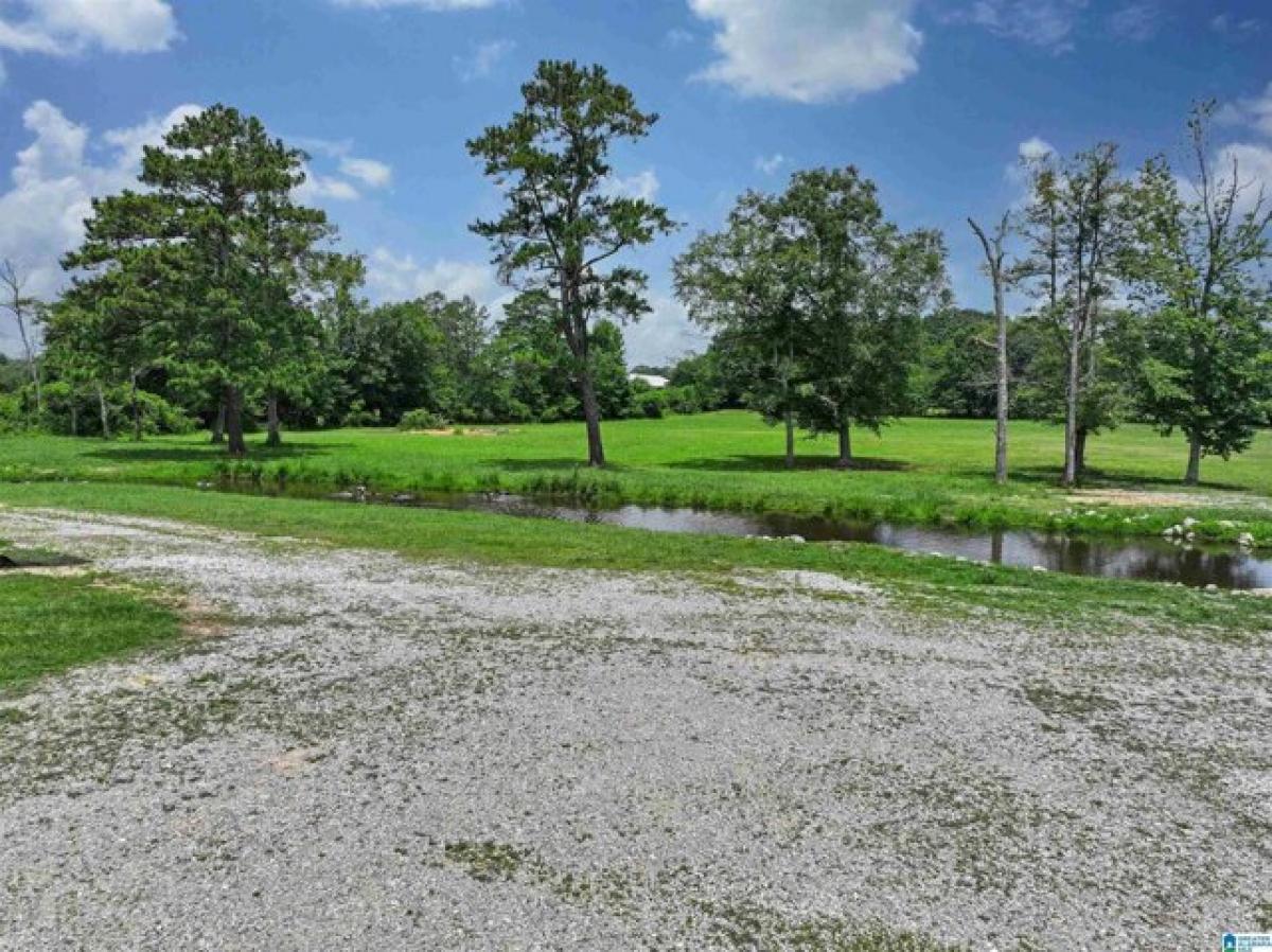 Picture of Residential Land For Sale in Thorsby, Alabama, United States