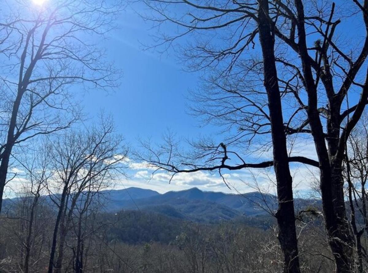 Picture of Residential Land For Sale in Bryson City, North Carolina, United States