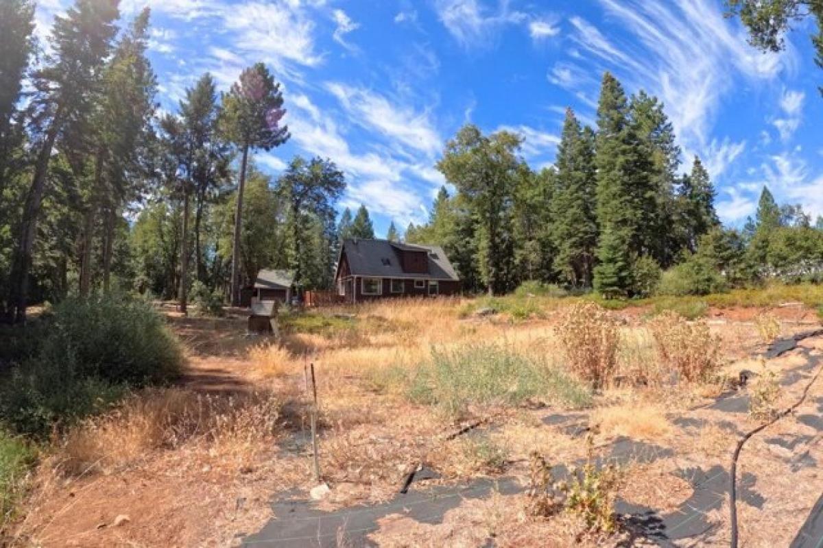 Picture of Home For Sale in Nevada City, California, United States