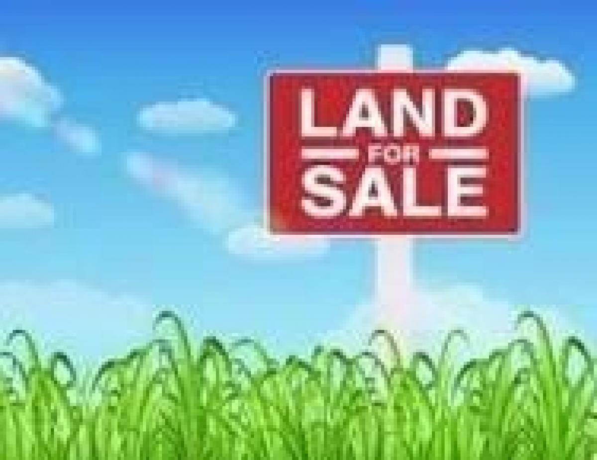 Picture of Residential Land For Sale in Williamstown, Kentucky, United States