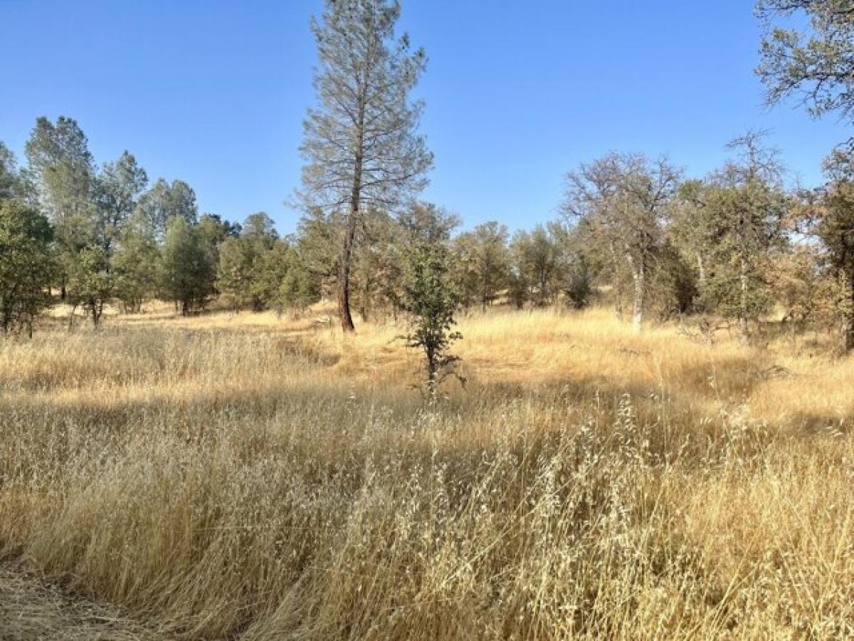 Picture of Residential Land For Sale in Redding, California, United States