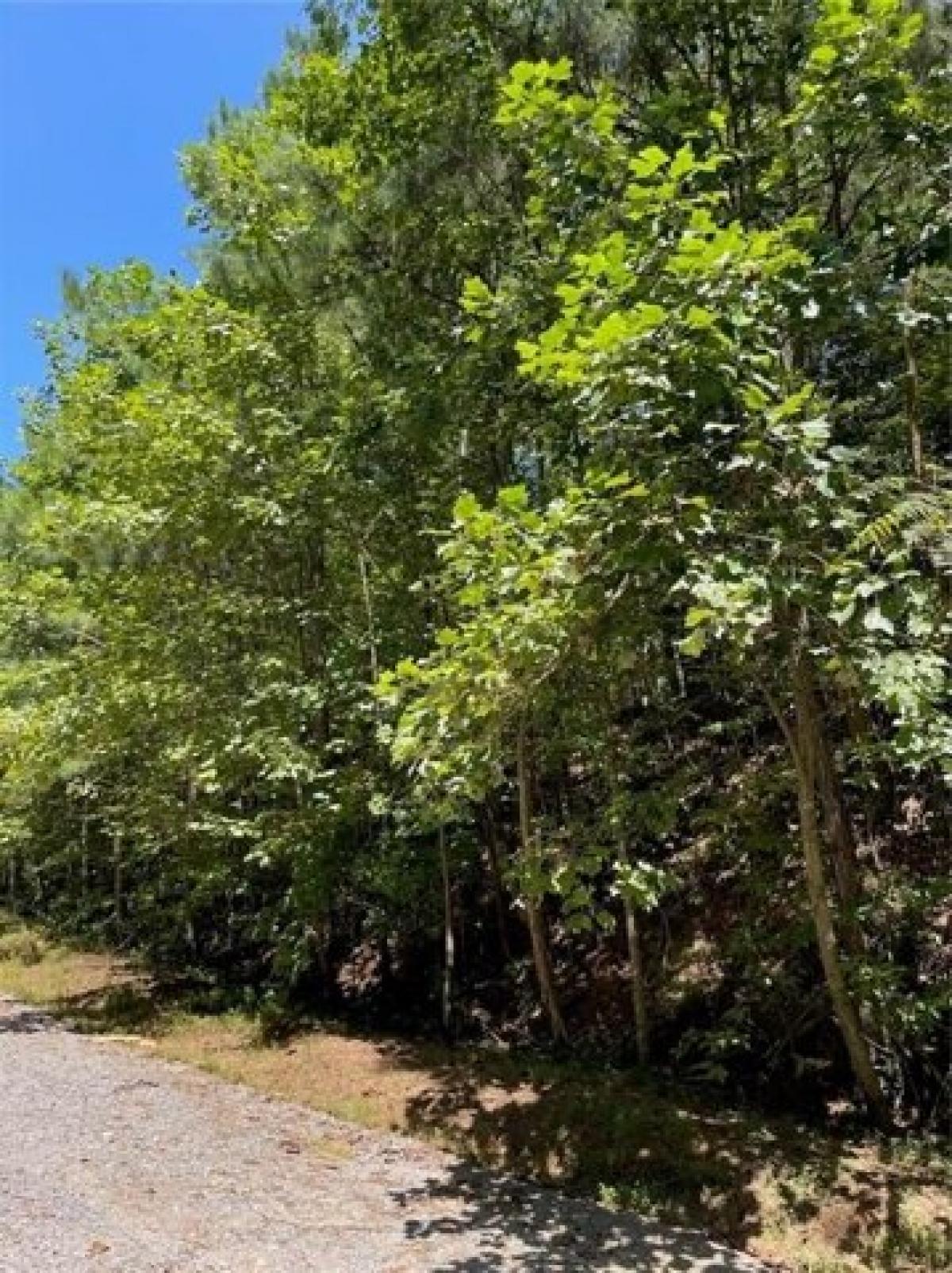 Picture of Residential Land For Sale in Talking Rock, Georgia, United States