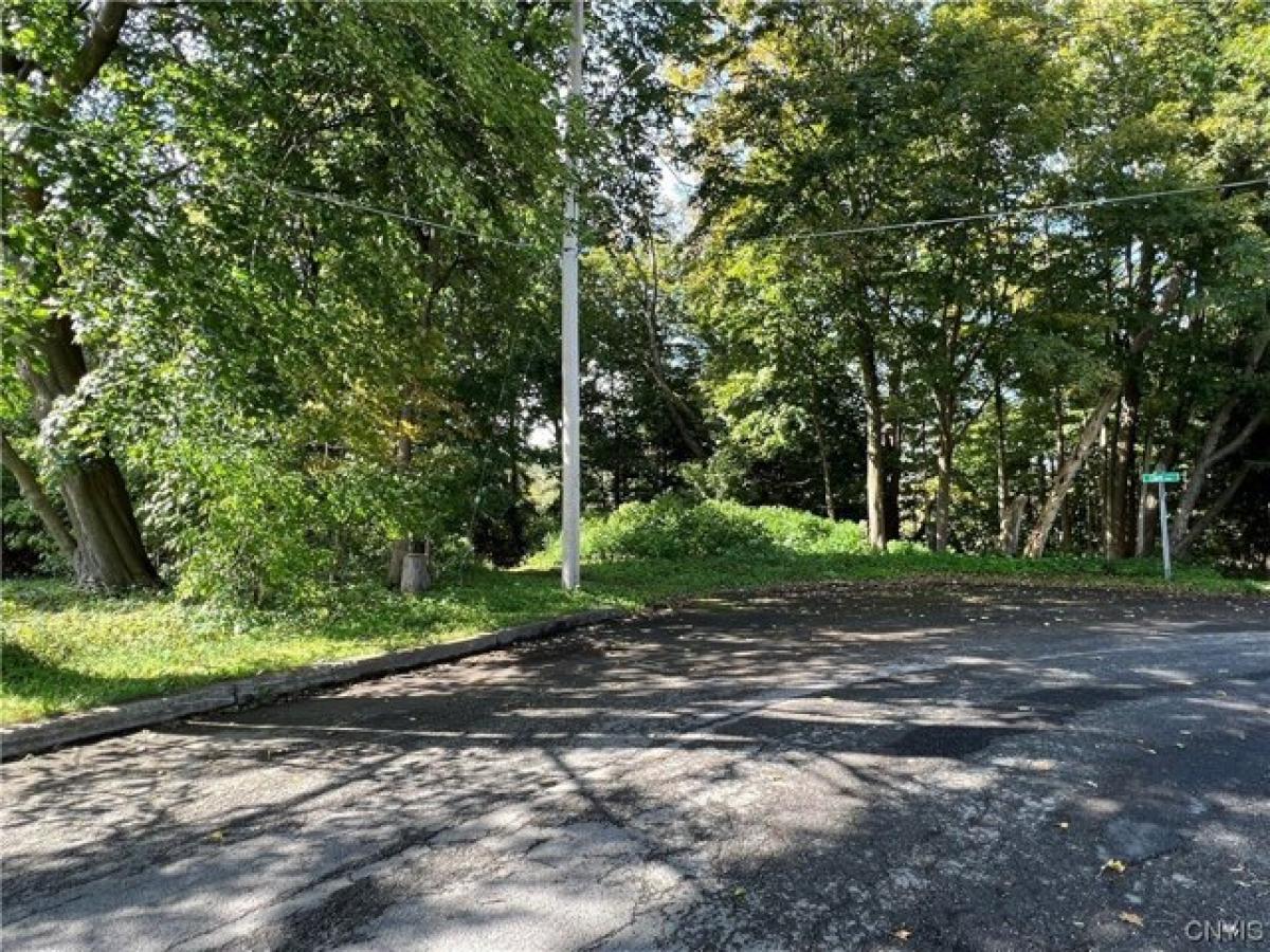 Picture of Residential Land For Sale in Ilion, New York, United States