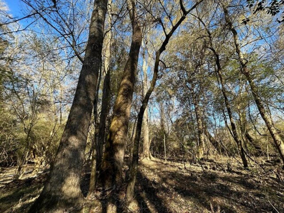 Picture of Residential Land For Sale in Wesson, Mississippi, United States