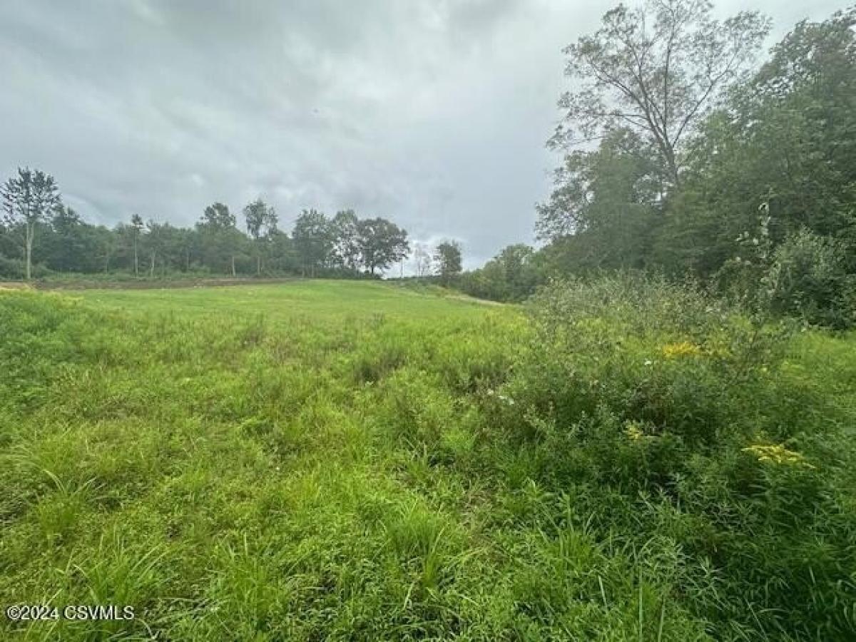 Picture of Residential Land For Sale in Danville, Pennsylvania, United States