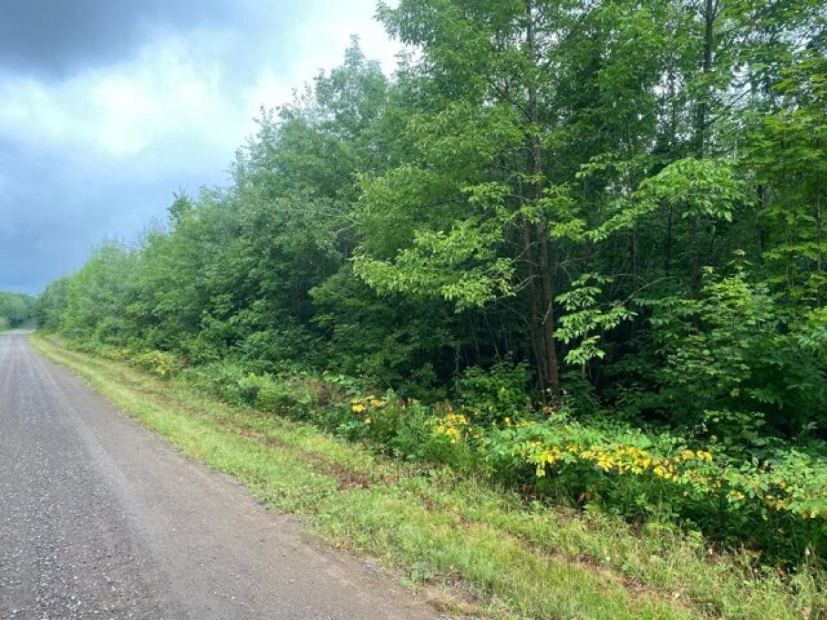 Picture of Residential Land For Sale in Butternut, Wisconsin, United States