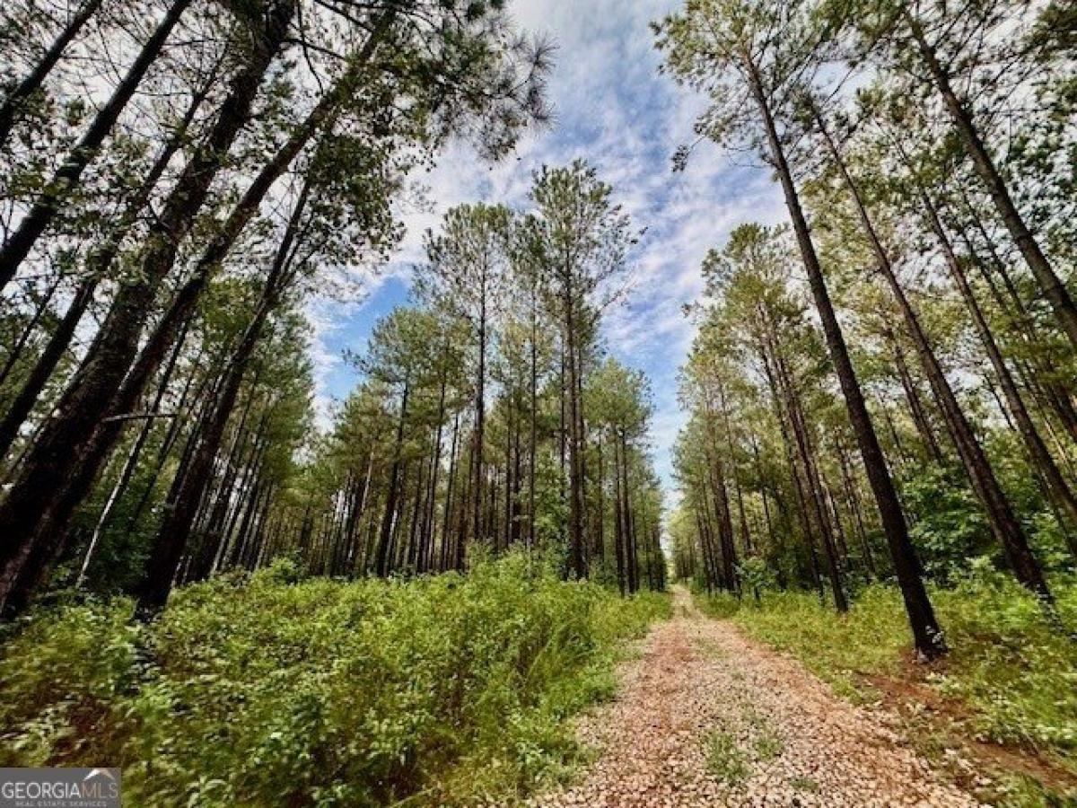 Picture of Residential Land For Sale in Monticello, Georgia, United States