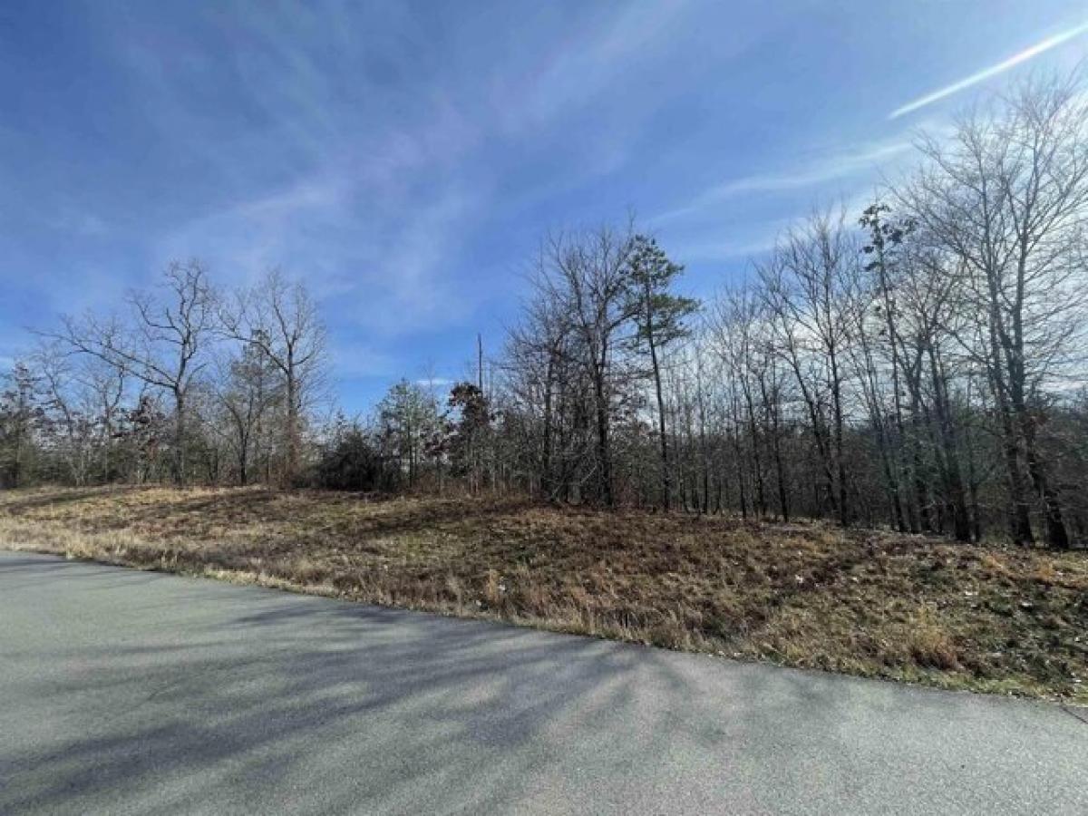 Picture of Residential Land For Sale in Alexander, Arkansas, United States