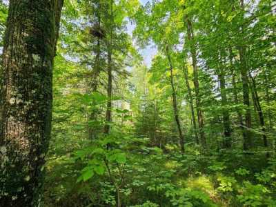 Residential Land For Sale in Laona, Wisconsin